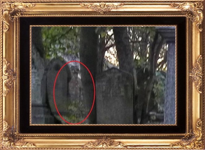 397309_3133036372012_1222866082_n