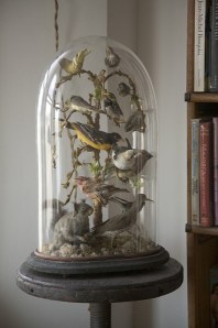 4057b431eb89ab35f7c565a81084558d