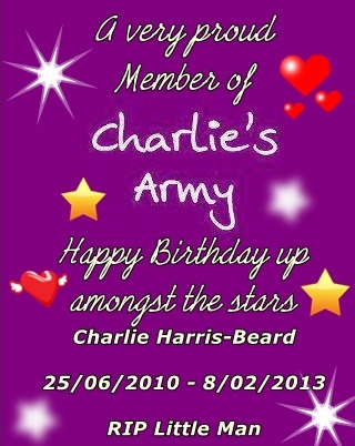 1011877_604617826229493_106379012_n