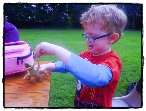 My monster and the lizard that everyone spent a fortune winning him from the tombolo