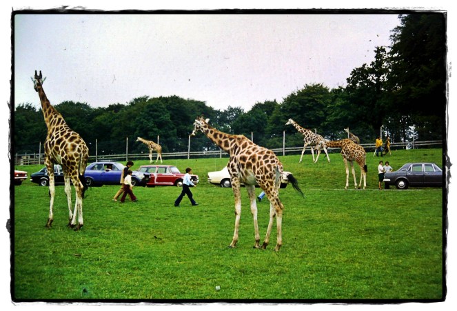 2012-04-18_65 (2) - Copy