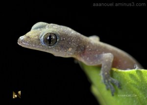 885d6e598c6945e63c5130f05a431e0f_large