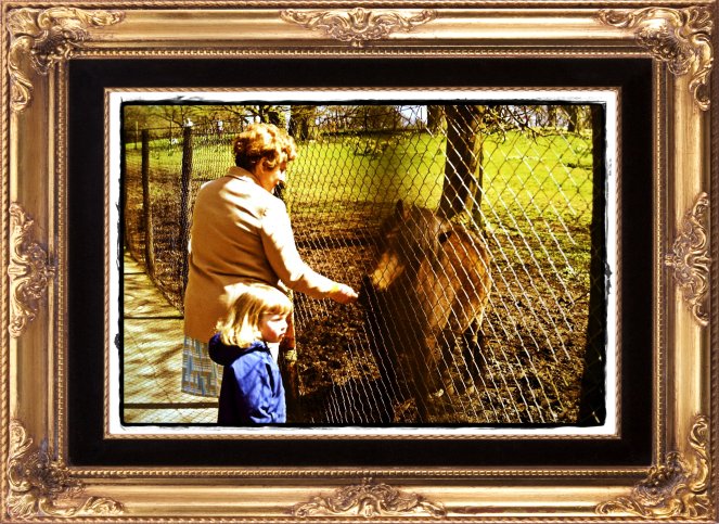 2012-04-18_11 - Copy