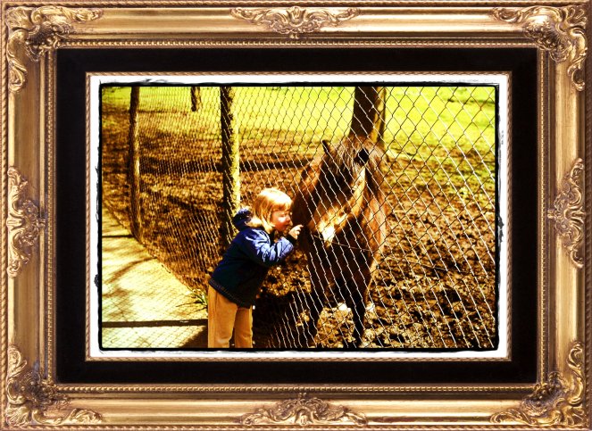 2012-04-18_26 (2) - Copy