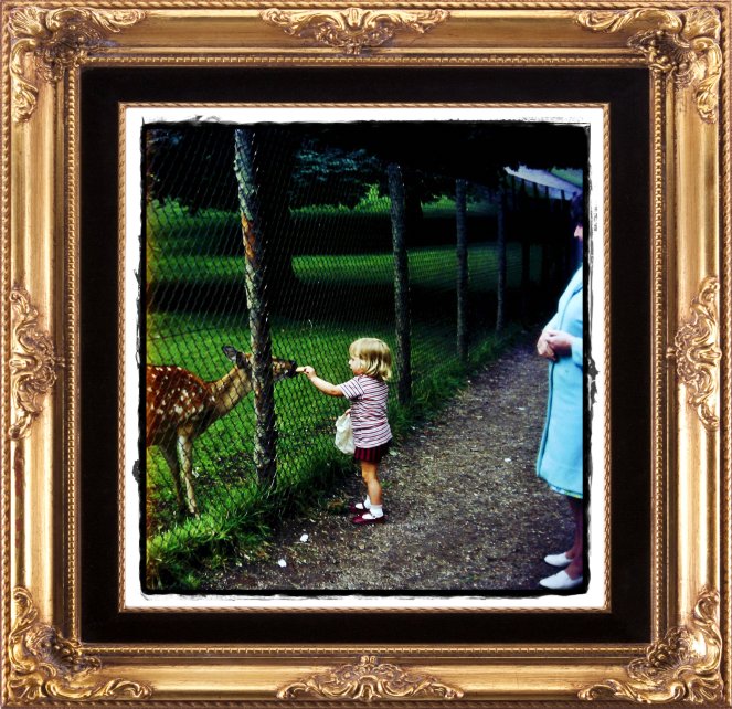 2012-04-18_31 - Copy