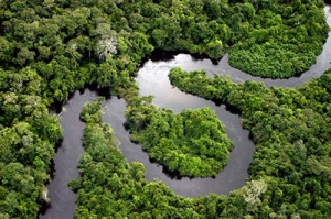 Amazon-rainforest-facts-River