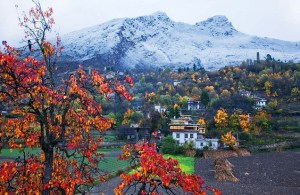 201204112116232076951111