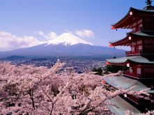 Cherry-Blossoms-And-Mount-Fuji-Japan-1-1600x1200